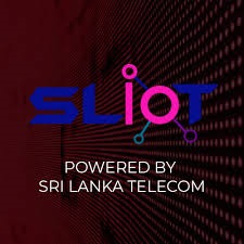 sliot