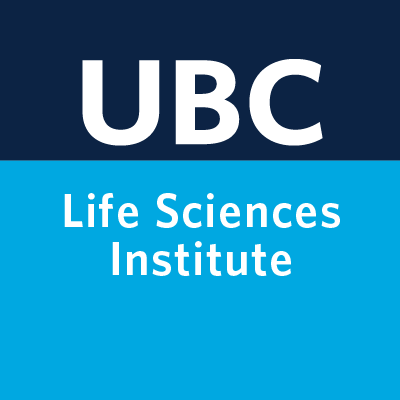 LSI